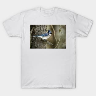 Blue Jay T-Shirt